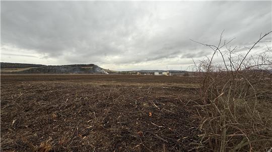 Nur noch eine Wüste: Acht Hektar Bewuchs sind radikal zerstört worden.
