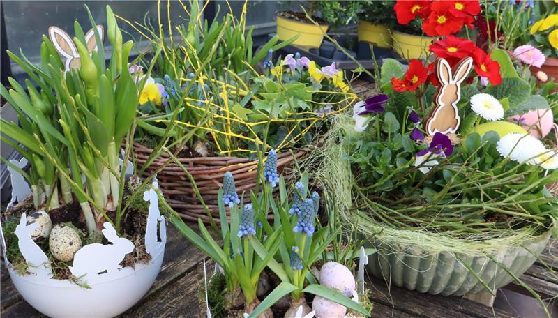 Bunt bepflanzte Blumenschalen. 