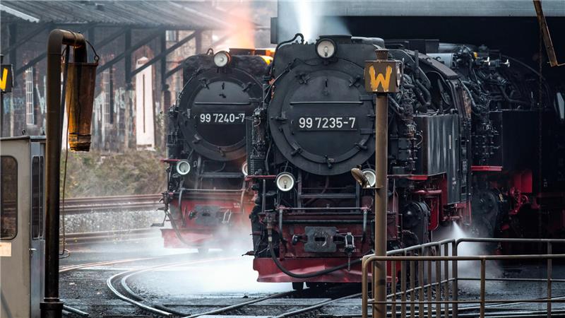 Die Loks der Harzer Schmalspurbahn im Bahnhof von Wernigerode. 