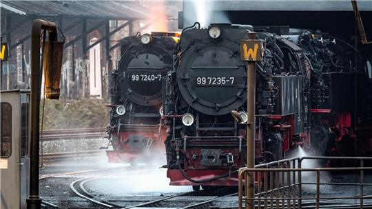 Die Loks der Harzer Schmalspurbahn im Bahnhof von Wernigerode. 