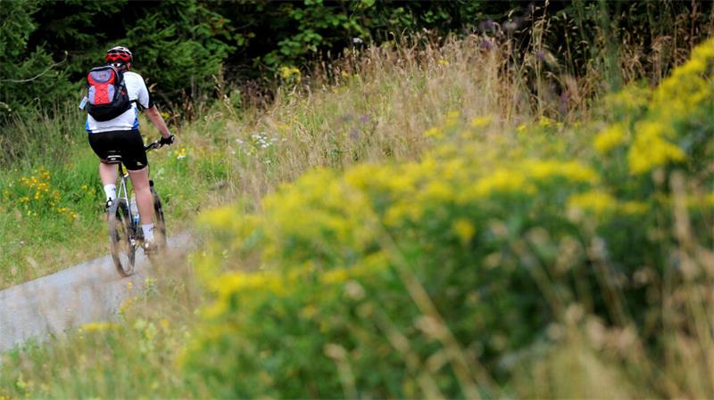 Ein Mountainbiker fährt Fahrrad im Oberharz.