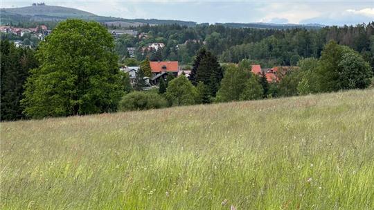 Ob in Braunlage (Foto) künftig die Jahresabschlüsse schneller erstellt werden, entscheidet am Montag der Rat. Der Fachausschuss empfiehlt, ein neues Gesetz anzuwenden, um das Verfahren zu beschleunigen.