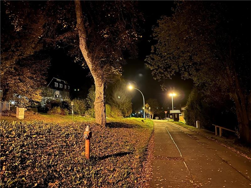 Nachtabschaltung in Braunlage: Der Beschluss folgt Ob nachts die Straßenlaternen in der Stadt Braunlage wie im Foto in der Tanner Straße abgeschaltet werden, entscheidet der Rat in der nächsten Sitzung. Zur Probe soll ab 20 Uhr erst einmal nur jede zweite Lampe brennen. Foto: Eggers