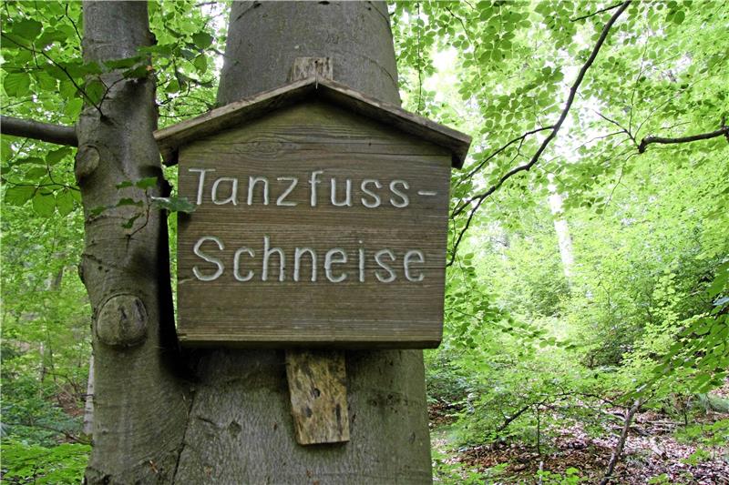 Oberjägermeister hin oder her, eine Jagderlaubnis muss sein fand seinerzeit der beflissene Gendarm Tanzfuß. Noch heute trägt die Schneise am Ahornweg seinen Namen.