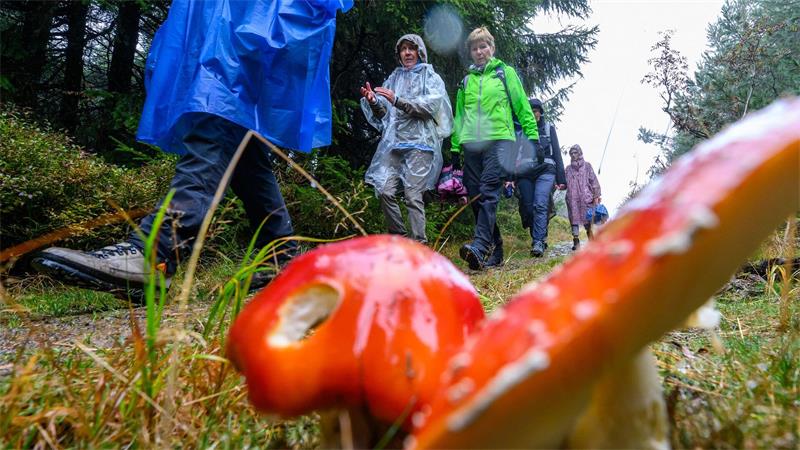 Oberwiesenthal: Wanderfreunde starten trotz Wind und Regen in den 123. Deutschen Wandertag am Fichtelberg