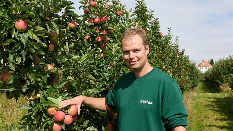 Obstbauer Niklas Eckhoff steht in seiner Apfelplantage vor einem Baum der Sorte Gala.