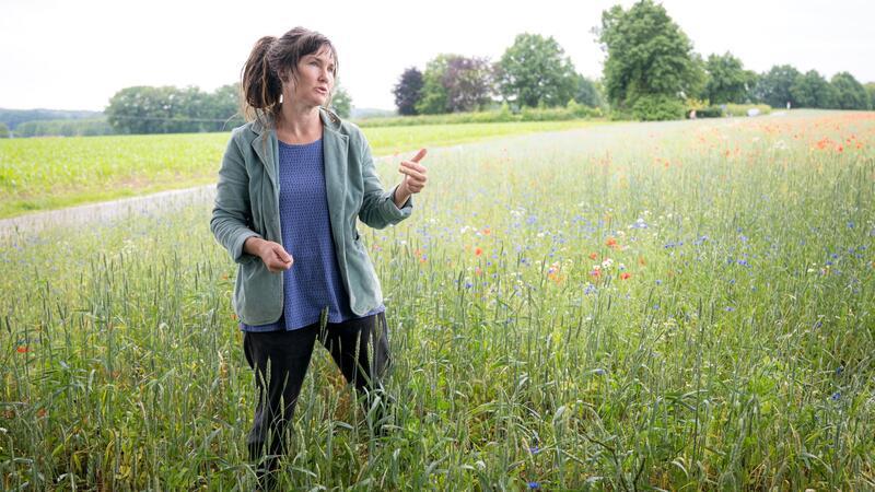 Odette Weedon von der Universität Kassel will mit einem Projekt den Gemengeanbau von Getreide und Hülsenfrüchten voranbringen. Der sogenannte Gemengeanbau hat viele ökologische Vorteile.