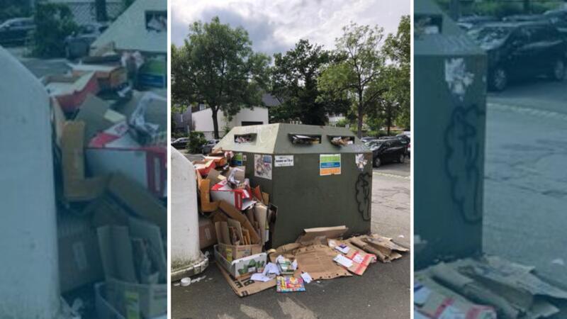 Offenbar seit längerer Zeit nicht geleert: Ein überfüllter Altpapiercontainer hinter der Kreismusikschule in Goslar.
