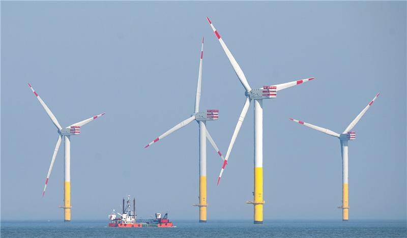 Studie: Windparks verdrängen Seetaucher Offshore-Windpark in der Nordsee.