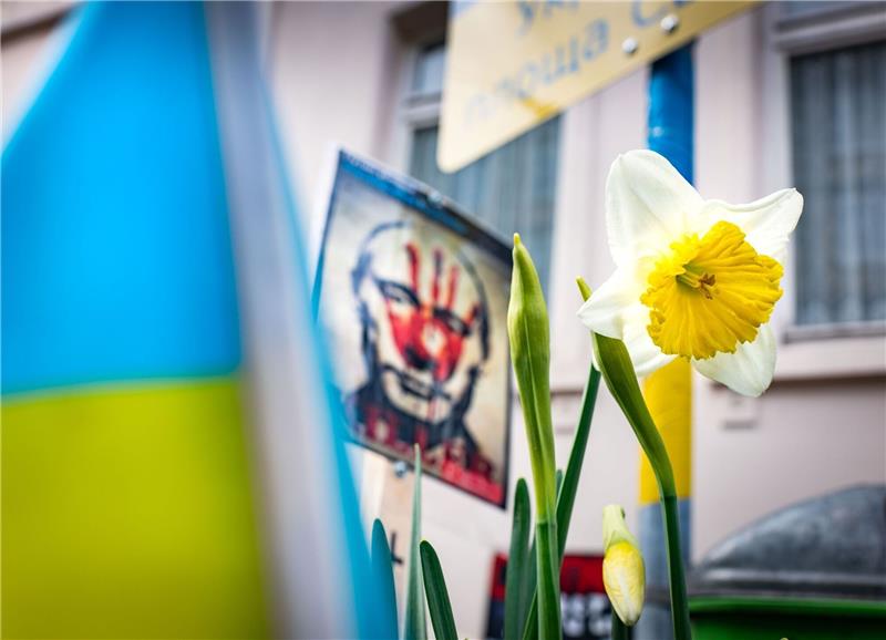 BKA: Rund 6000 Straftaten im Zusammenhang mit Ukraine-Krieg Oft sind Protestaktionen gegen den russischen Angriffskrieg friedlich - wie hier in Frankfurt. Gerade in den ersten Kriegswochen verzeichnete das BKA jedoch auch anti-russische Straftaten. (Symbolbild)