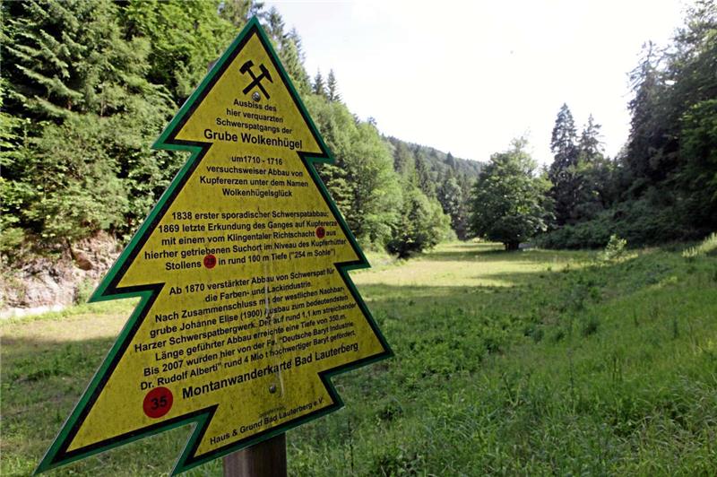 Ohne die Dennert-Tanne würde nichts daran erinnern, dass an dieser Stelle vor zehn Jahren noch die obertägigen Anlagen der Grube Wolkenhügel gestanden haben. Im Tal der Krummen Lutter ist im Wortsinn Gras über das letzte Kapitel der Harzer Bergbau-Geschichte gewachsen. Fotos: Bruns (3)/ Archiv Rückbrodt (4)