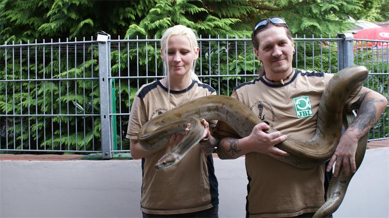 Zwei Personen in braunen T-Shirts halten gemeinsam eine große Schlange vor einem Metallzaun und grünen Büschen