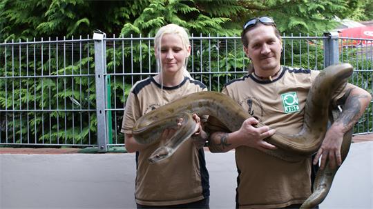 Zwei Personen in braunen T-Shirts halten gemeinsam eine große Schlange vor einem Metallzaun und grünen Büschen