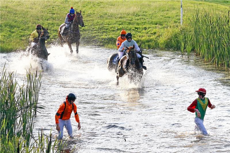 Olli Schnakenberg (li.) und Pavel Slozil jr. (re.), die Reiter von Onneck und Wutzelmann, gehen im See baden. Am Ende gewinnt Piraniya (hinten re, in Orange) vor Shoemaker (davor) und Lokalmatador Zuckerprinz (hinten li.),  Fotos: Epping
