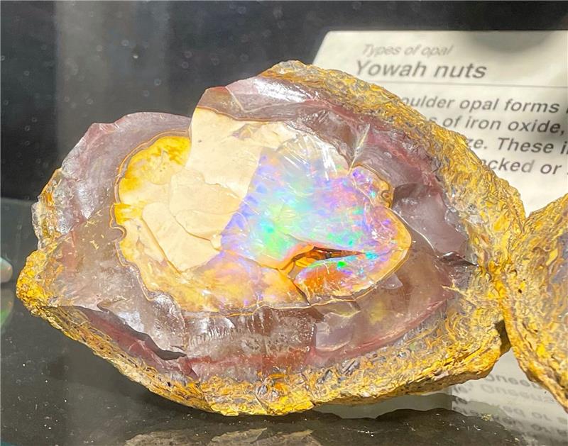 Im Rausch der Opale: Australiens National-Edelstein Opale werden in der Regel zu Schmuck verarbeitet. So sieht der Stein unbearbeitet aus.