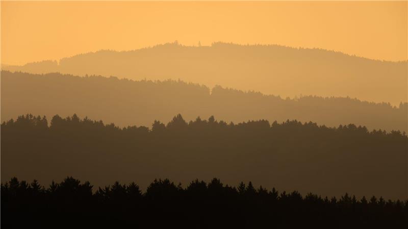 Orangefarbenes Morgenlicht über den Wäldern des Schwarzwalds.