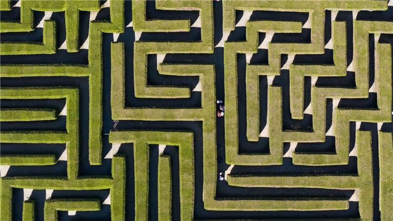 Orientierungssinn gefragt: Besucher gehen durch einen Irrgarten zwischen Thuja-Hecken-Pflanzen.