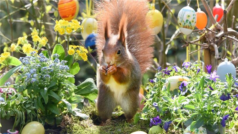 Ostern steht vor der Tür. (Archivbild)