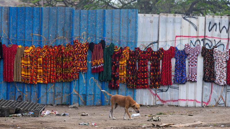 Papst Franziskus wird in Papua-Neuguinea erwartet. Diesen Hund auf einem Markt in Port Moresby auf Papua-Neuguinea interessiert das wohl eher wenig.