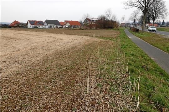 Parallel zum westlichen Ortsausgang von Lutter soll nördlich der B 248 ein Neubaugebiet entstehen. Etwa 28 Grundstücke könnten dort ausgewiesen werden.  Foto: Kühlewind