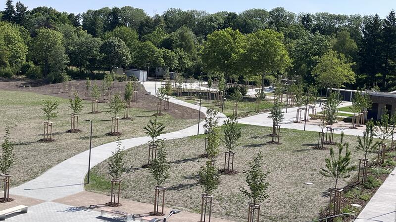 Ratsgymnasium Goslar: Köstler-Holste kommt, die Container bleiben Parkähnlich und so gut wie fertig: Wo früher die alte Goldene Aue stand, erinnert nichts mehr an die Schulvergangenheit.
