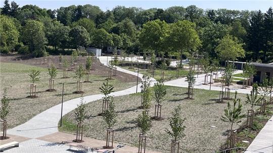 Parkähnlich und so gut wie fertig: Wo früher die alte Goldene Aue stand, erinnert nichts mehr an die Schulvergangenheit.