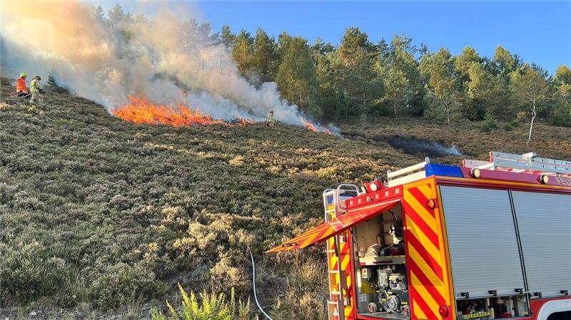 Im Oberharz legen die Brandschützer selbst ein Feuer Parzelle für Parzelle brennen die Experten die trockene Heide nieder.