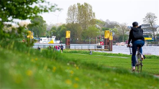 Passanten fanden eine Leiche in der Weser - in der Nähe der Sielwallfähre. (Archivbild)