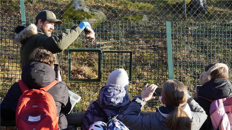 Paul Bridge füttert die Luchse Rikki und Reto. 
