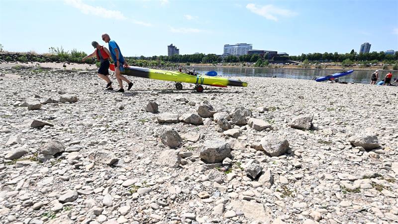 Personen ziehen ihre Kajaks über das bei Niedrigwasser ausgetrocknete Flussbett des Rheins bei Rodenkirchen.