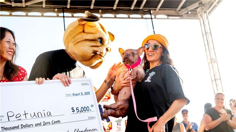 Haarlose Petunia ist „hässlichster Hund der Welt“ Petunias Besitzerin durfte sich über ein Preisgeld von 5000 Dollar freuen.