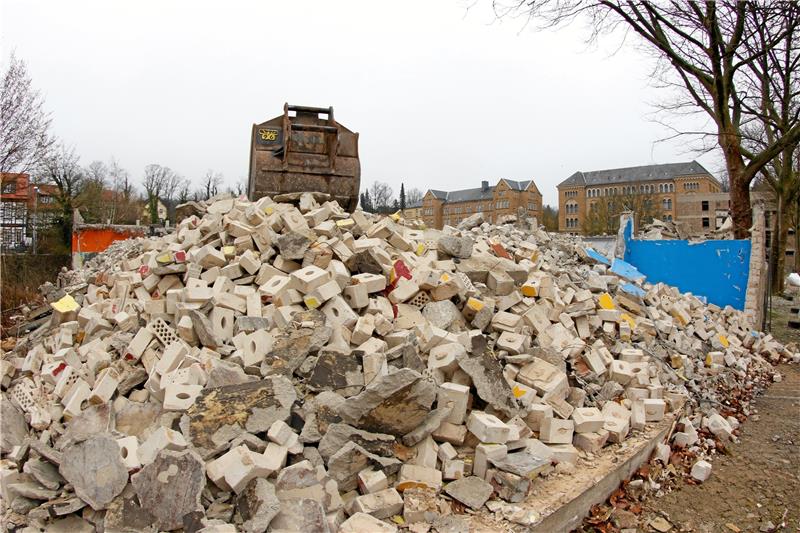 Nach Fledermaus-Pause: Abriss im Pfalzquartier geht weiter Pfalzquartier: Der Abriss-Stopp soll bald gestoppt werden. Foto: Epping