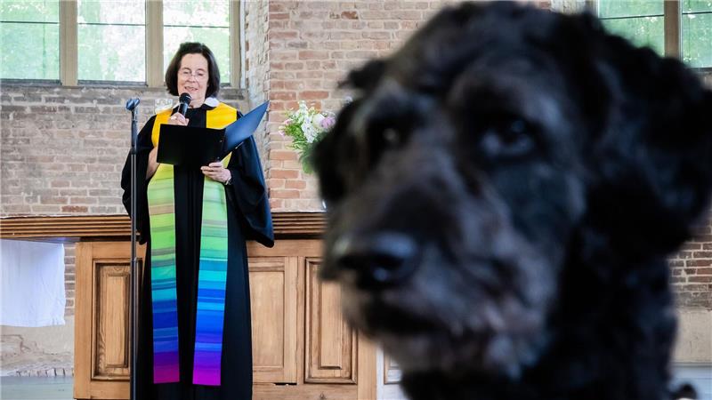 Pfarrerin Andrea Richter spricht im Beisein von Pudel-Mischling Billie bei einem Tiersegnungsgottesdienst in der Parochialkirche in Berlin. 