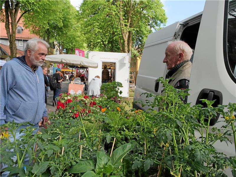 Sonniger Start für den Oberharzer Bergbauernmarkt Pflanzen: Blühendes für den Garten ist zu erstehen. Foto: Potthast