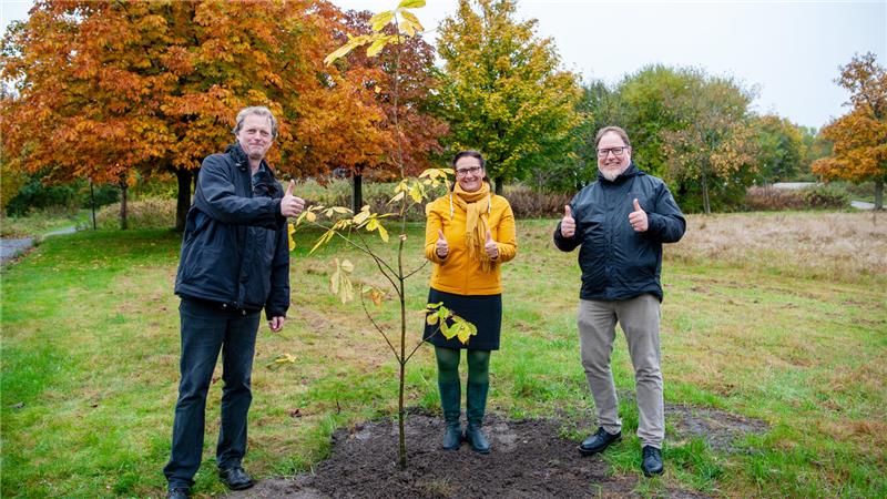 Internet-Trend: Oberharzer machen mit und pflanzen Bäume Pflanzen auf dem Campus eine Kastanie und beteiligen sich am Internettrend (v.l.): Vizepräsident Michael Müller-Bahns, Präsidentin Sylvia Schattauer und Verwaltungsmitarbeiter Rainer Otte