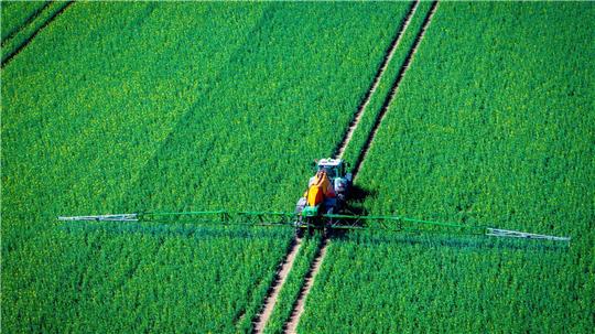 Pflanzenschutzmittel belasten Nützlinge im Boden (Archivbild)