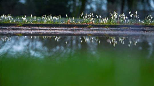 Pfützen auf Wegen und Äckern können trügerisch sein: Vielerorts fehlt den Böden Feuchtigkeit. (Archivbild)