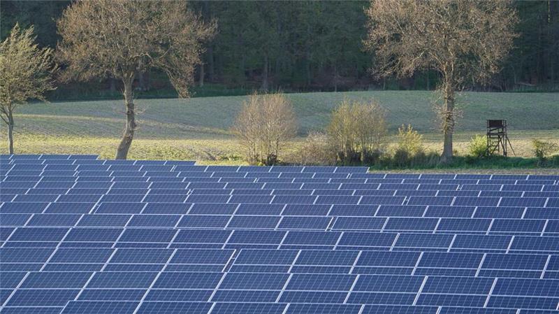 Photovoltaik-Module (wie hier entlang der A7) sollen bald in großer Zahl nördlich von Bad Harzburg aufgebstellt werden. 
