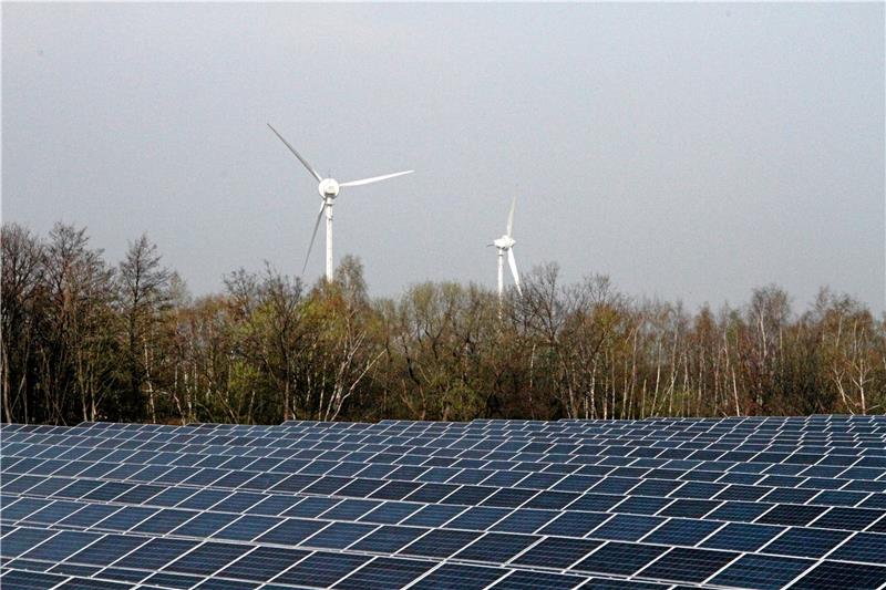 Harlingeröder Energiepark: Zoff zwischen Politik und Bürgermeister Photovoltaik (wie hier am Tennisweg) und Windkraft (im Hintergrund die bereits vorhandenen Windräder in Harlingerode) sollen im großen Stil zwischen Harlingerode und Vienenburg errichtet werden. Mittlerweile zeigt sich auch die CDU-Gruppe von dem Projekt überzeugt. Foto: GZ-Archiv