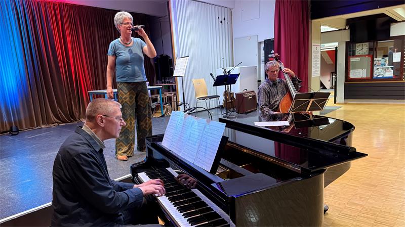 Das Foto zeigt einen Mann am Klavier, einen Mann am Bass und eine Frau, die singt.