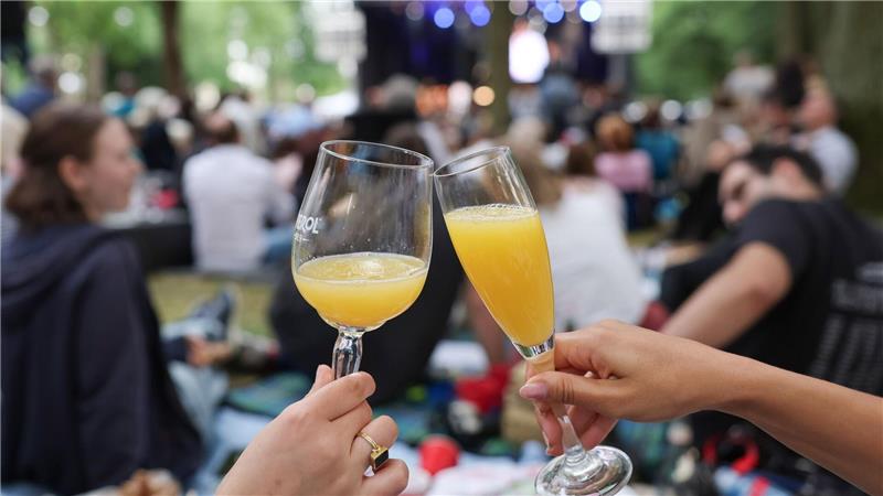 Bayreuth oder Salzburg - ein Festspielvergleich Picknick im Bayreuther Festspielpark beim Open Air. (Archivbild)