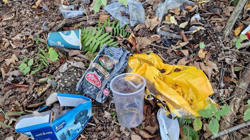 Verschmutzter Waldboden mit verstreutem Müll wie Plastikbechern, Verpackungen und Tüten.