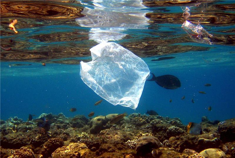 Studie: Bis zu elf Millionen Tonnen Müll auf dem Meeresgrund Plastikmüll ist ein großes Problem in den Meeren.