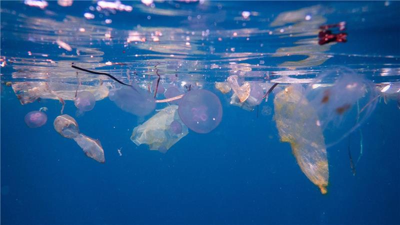 Plastikmüll schwimmt neben Quallen am Tauchplatz Blue Magic in Raja Ampat in Indonesien. 