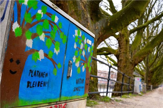 „Platanen bleiben!“ steht auf einem Stromkasten vor den Platanen am Weserufer.
