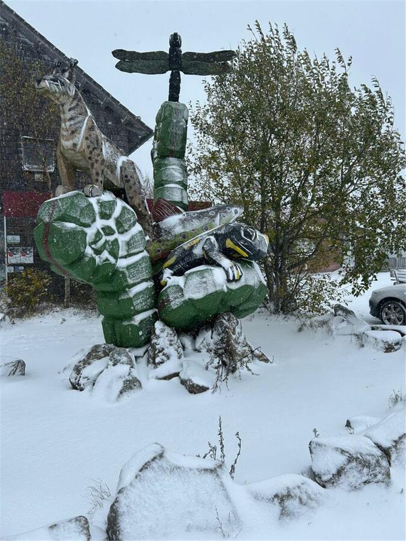 Plötzlicher Wintereinbruch im Oberharz.