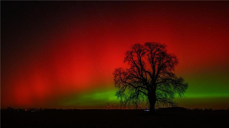 Polarlichter leuchten am Nachthimmel über der Landschaft im östlichen Brandenburg.