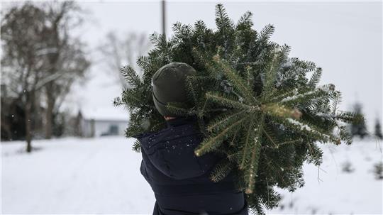 Polizisten beobachteten, wie die Männer den Weihnachtsbaum wegtragen wollten. (Symbolbild)