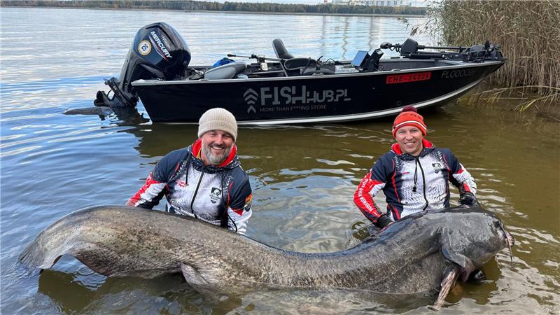 Polnische Angler ziehen Rekord-Wels aus einem Stausee.