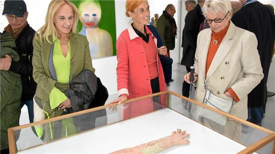 Preisträgerin Miriam Cahn hat dieses Jahr einen modellierten Arm zur Kaiserringverleihung geschickt, der Teil ihrer Ausstellung im Mönchehaus ist. Für kommendes Jahr rechnet die Stadtverwaltung mit einem Zuschussbedarf von 55.000 Euro für die Kaiserring-Ausstellung.